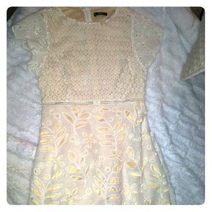 Zip back crochet lace dress